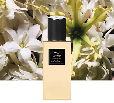 Le vestiaire hotsell des parfums